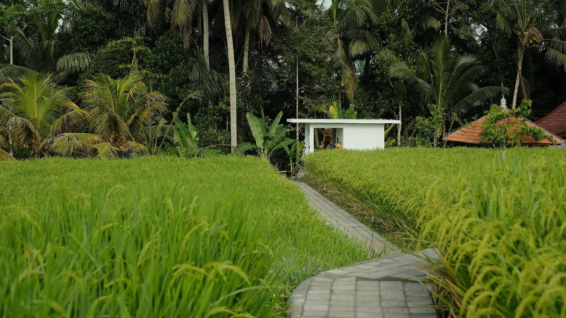 Anantra Bali Eco Villa Ubud  Indonesia