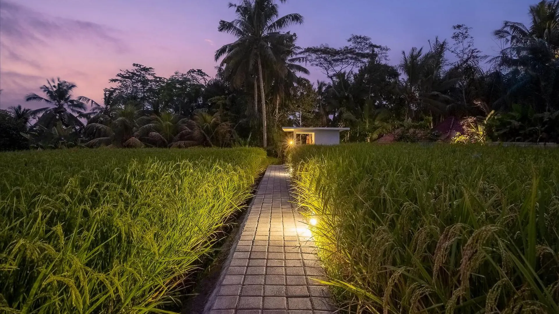 Anantra Bali Eco Villa Ubud